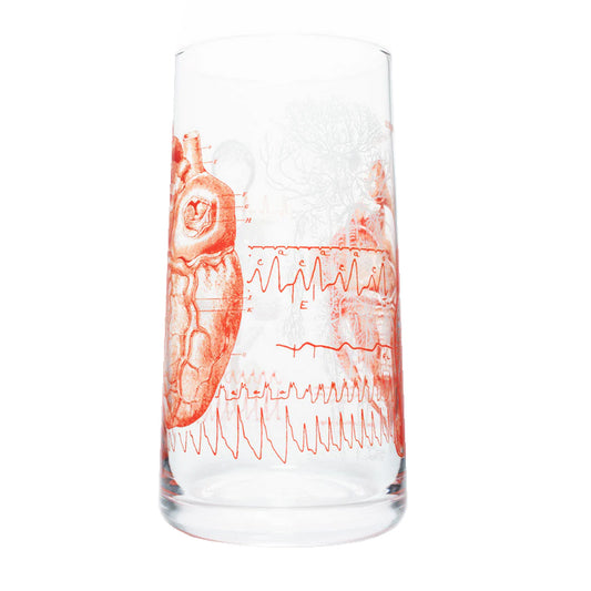 Anatomical Heart Drinking Glass