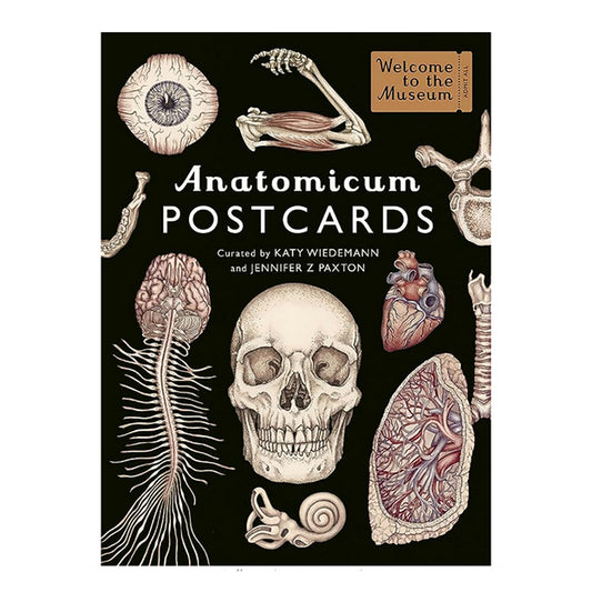 Anatomicum Postcards