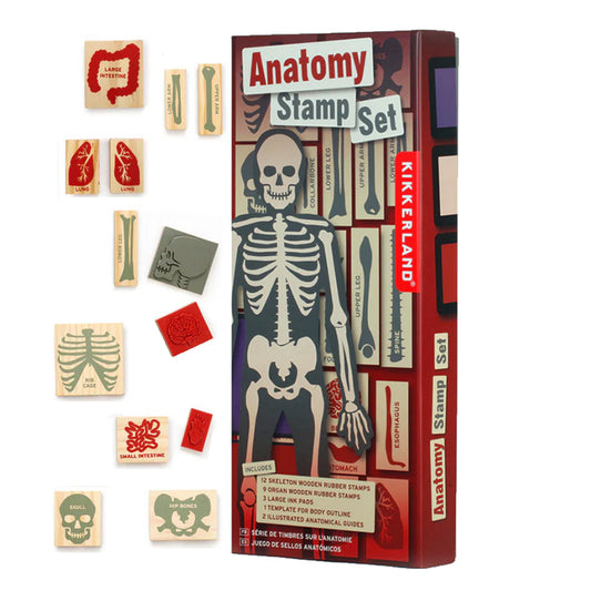 Anatomy Stamp Set