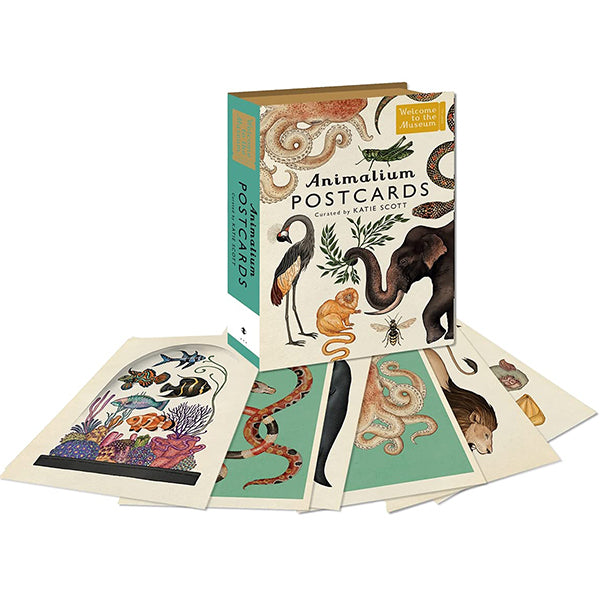 Animalium Postcards