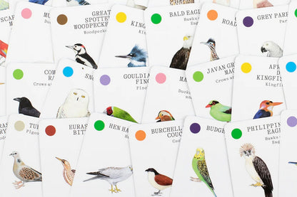 Bird Families: A High Flying Card Game