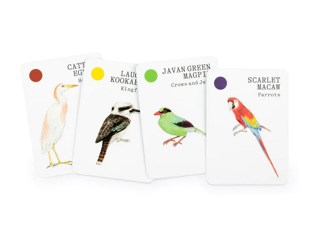 Bird Families: A High Flying Card Game