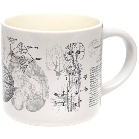 Brain Anatomy Mug