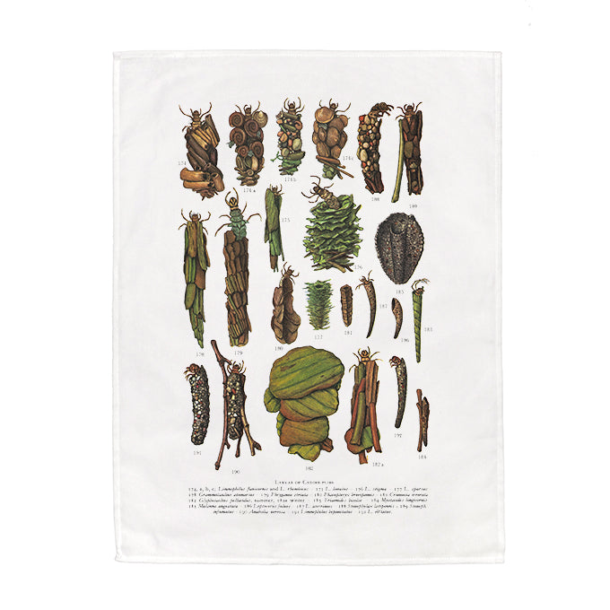 Caddis Fly Larvae Tea Towel