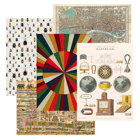 Curious Wrapping Paper - Themed Packs