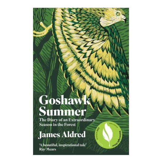 Goshawk Summer