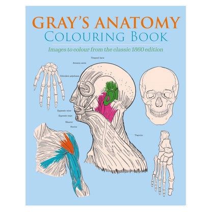 Gray's Anatomy Colouring Book