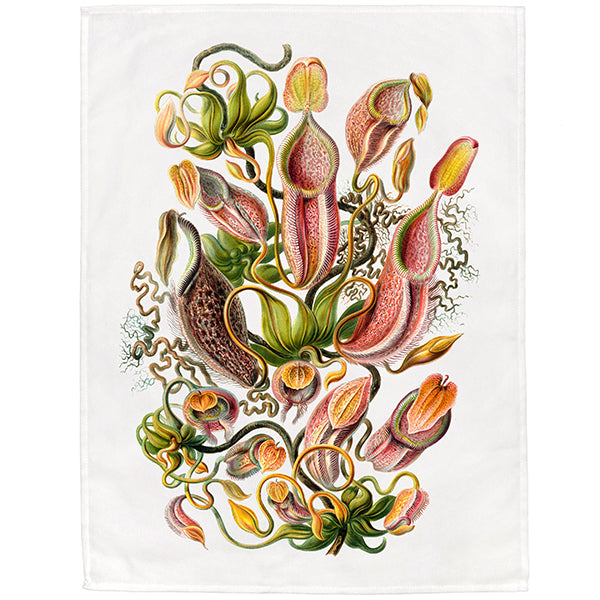 Nepenthaceae by Haeckel Tea Towel