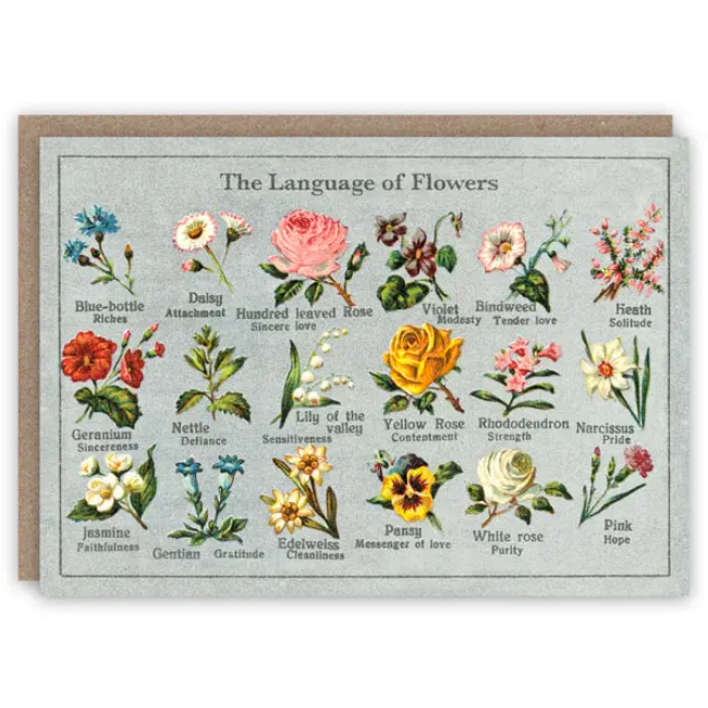 Language Of Flowers Card