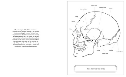 Gray's Anatomy Colouring Book