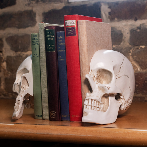 Skull Bookends