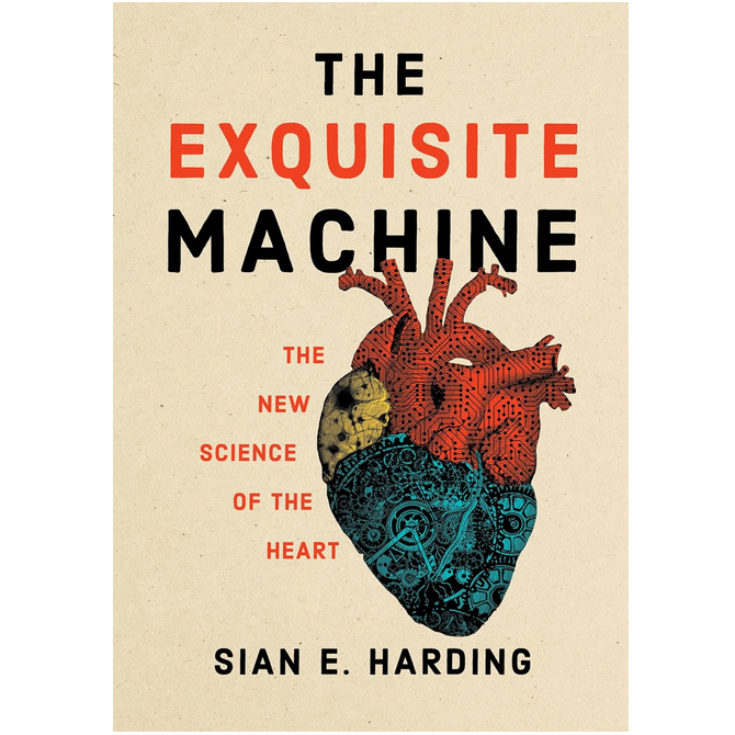 The Exquisite Machine