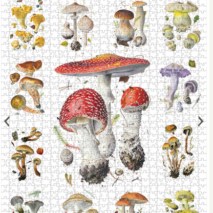 Mushrooms 1000-Piece Jigsaw Puzzle