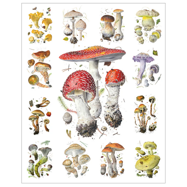 Mushrooms 1000-Piece Jigsaw Puzzle