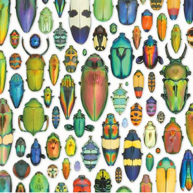 Exquisite Creatures: Insect Art by Christopher Marley 1000-Piece Jigsaw Puzzle