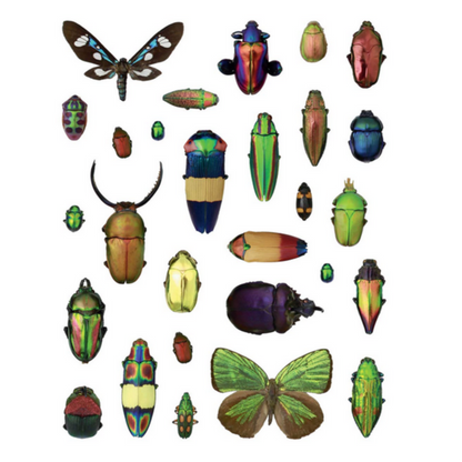 Incredible Insects Sticker Book