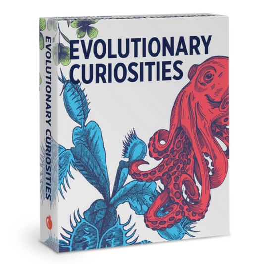 Evolutionary Curiosities