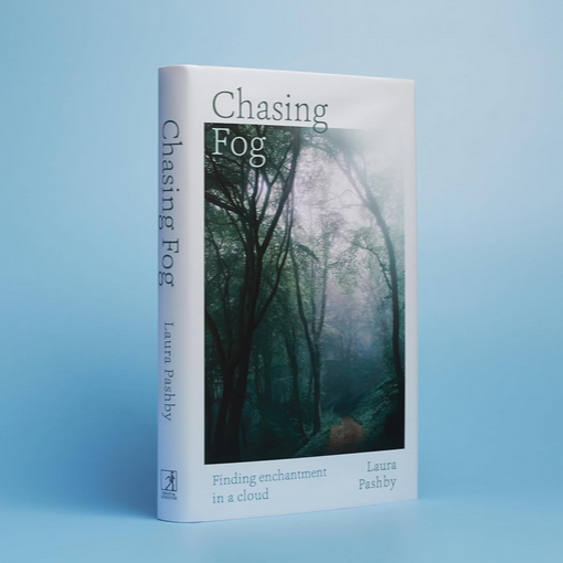 Chasing Fog - Finding Enchantment in a Cloud