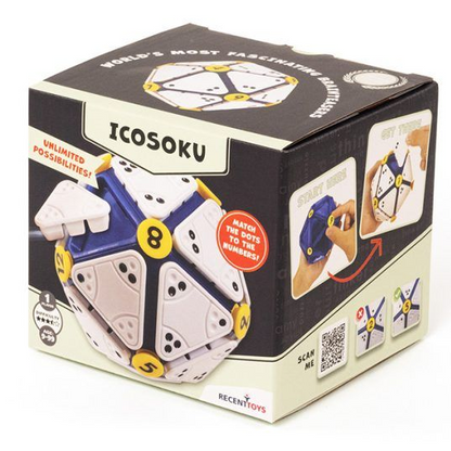 Icosoku Puzzle