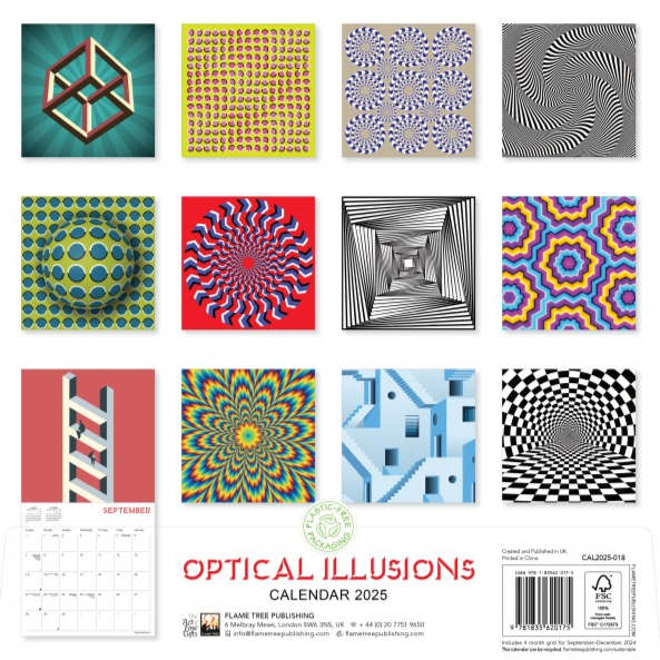 Optical Illusions 2025 Wall Calendar