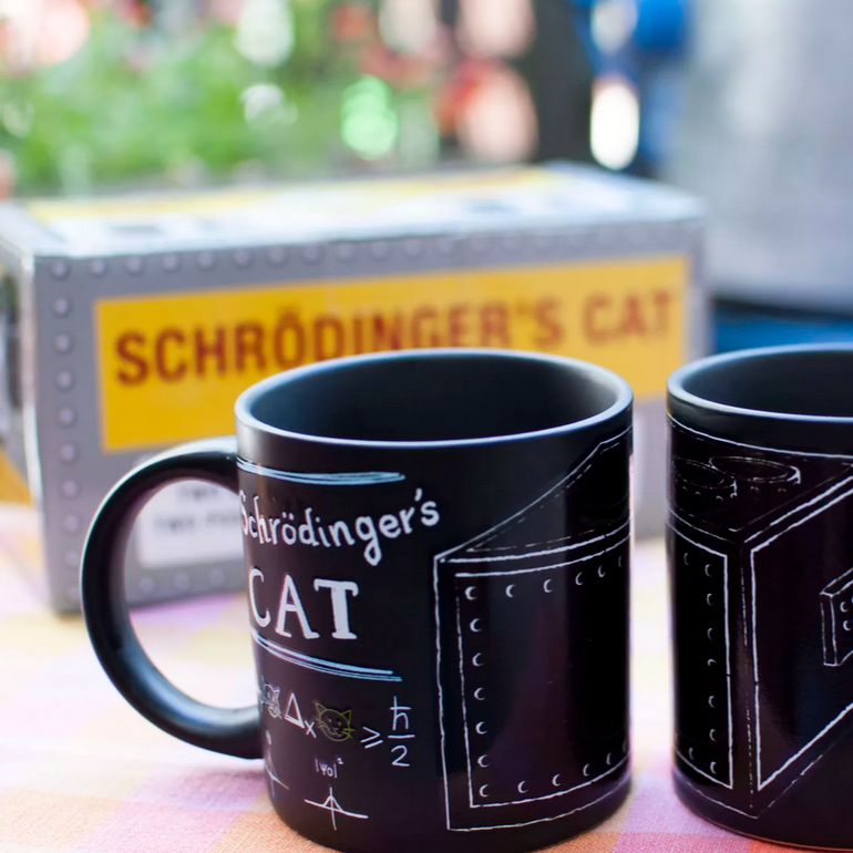 Schrödinger's Cat Mug Set