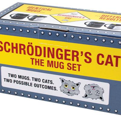 Schrödinger's Cat Mug Set