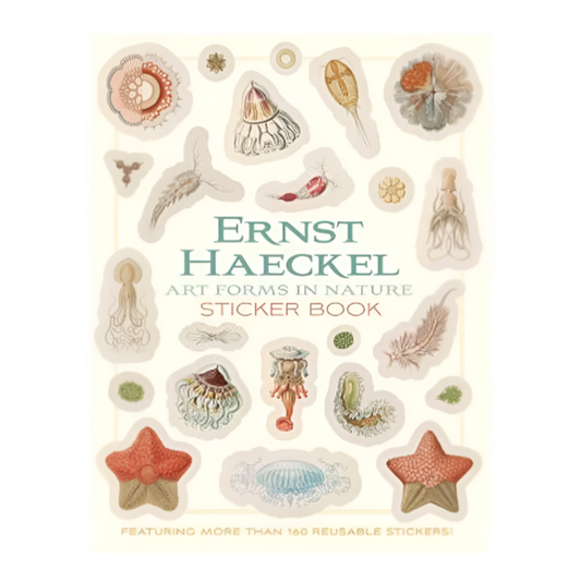 Ernst Haeckel Art Forms in Nature Sticker Book