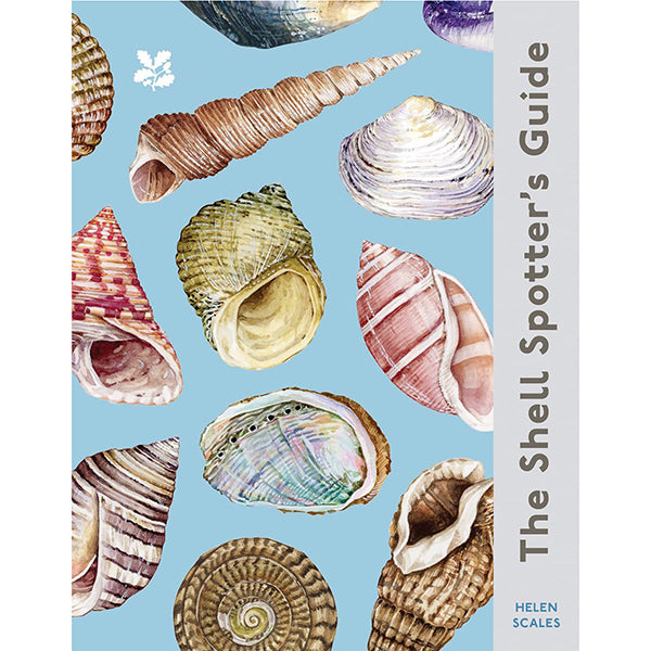 The Shell Spotter's Guide