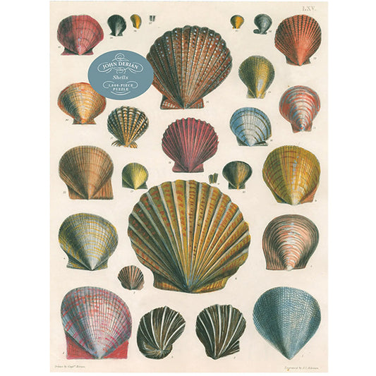 Shells 1000-Piece Jigsaw Puzzle