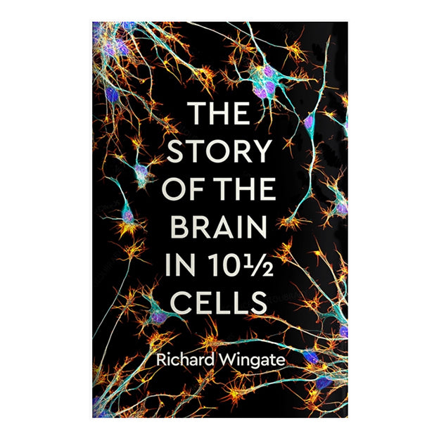 The Story of the Brain in 10 1/2 Cells