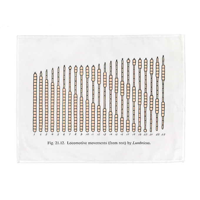 Worm Locomotion Tea Towel