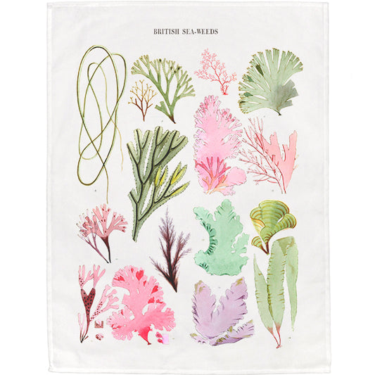 British Seaweeds Tea Towel