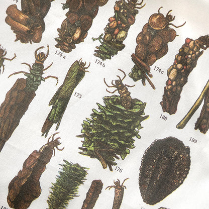 Caddis Fly Larvae Tea Towel