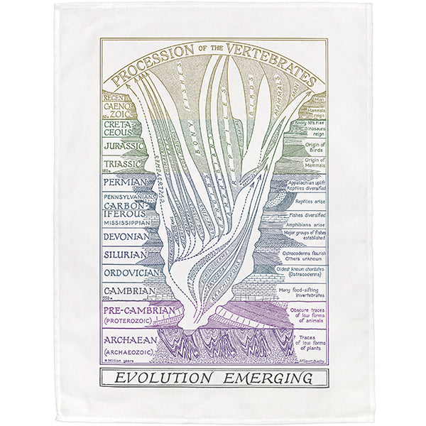 Evolution Emerging Tea Towel