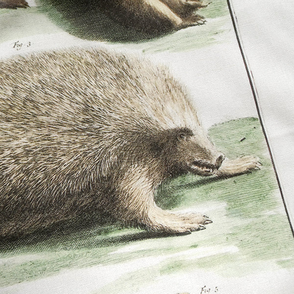 Hedgehogs Tea Towel