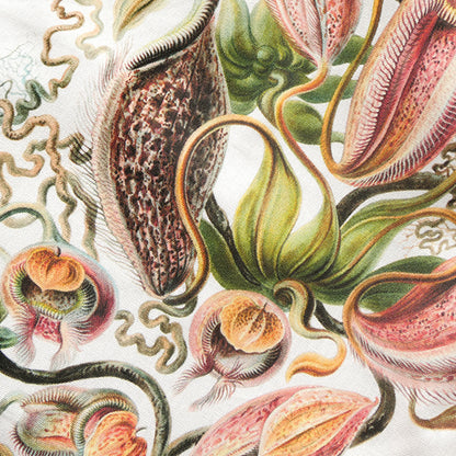 Nepenthaceae by Haeckel Tea Towel