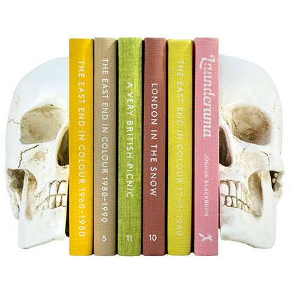 Skull Bookends