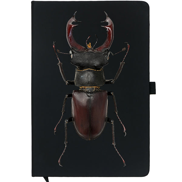 Stag Beetle Notebook