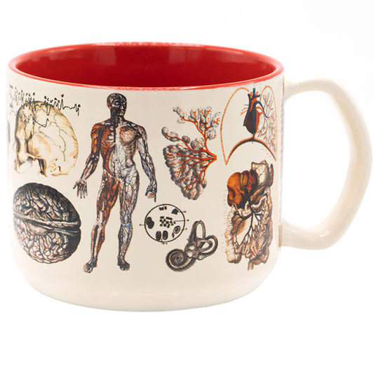 Vascular Anatomy Mug