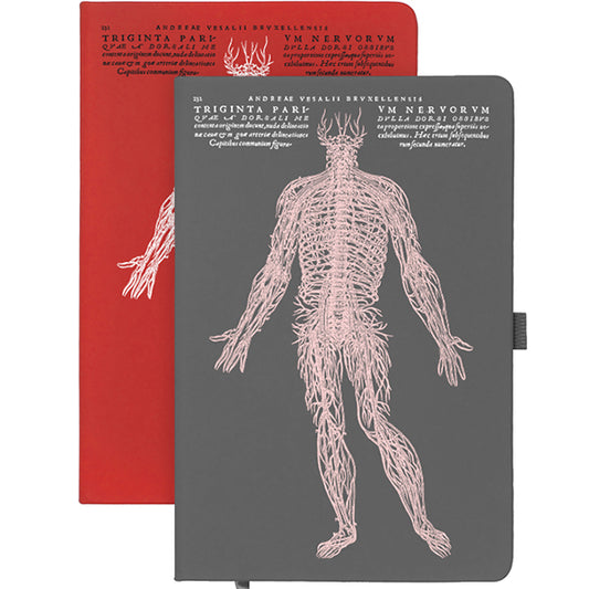 Vesalius Nervous System Notebook