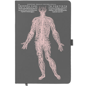 Vesalius Nervous System Notebook