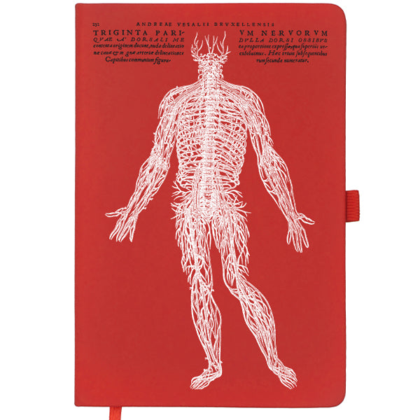 Vesalius Nervous System Notebook