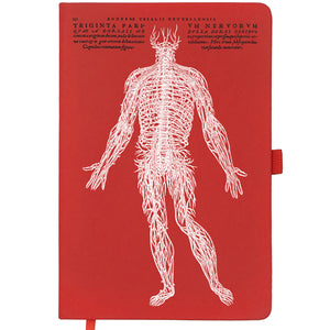 Vesalius Nervous System Notebook