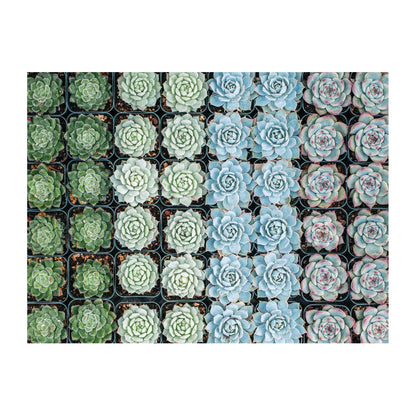 Succulent Garden 2-sided 500pc Puzzle