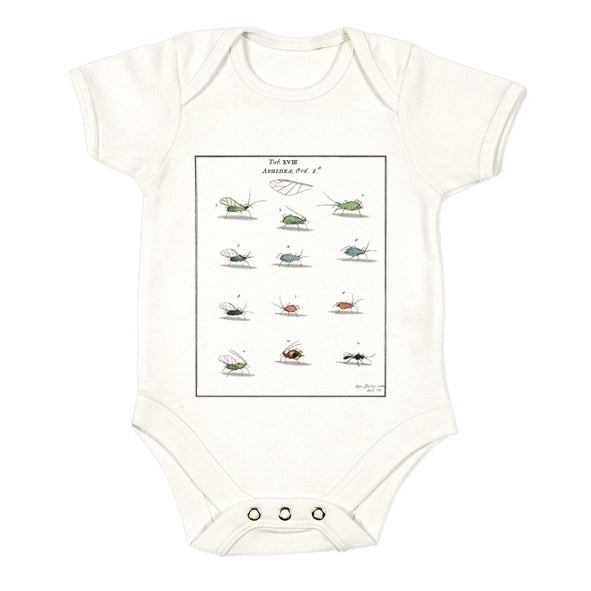 Aphids Chart Babygro