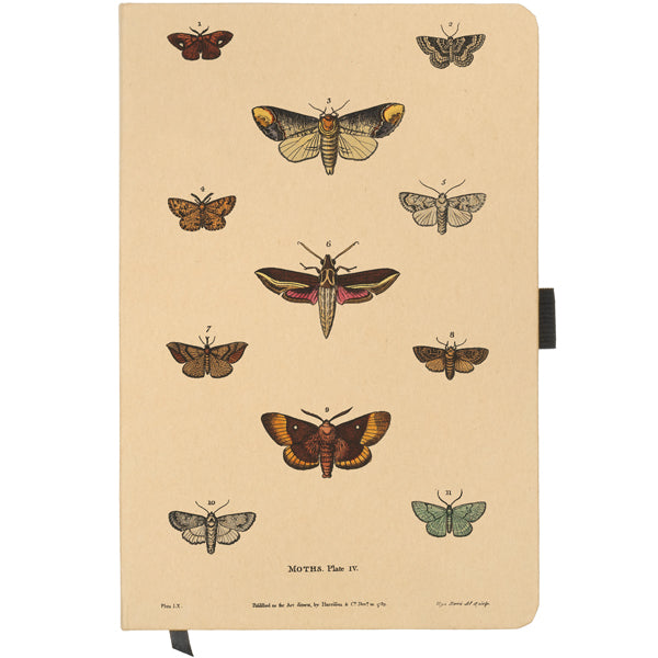 Moths A5 Kraft Notebook