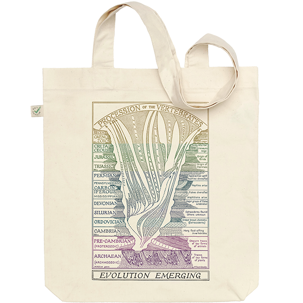 Evolution Emerging Tote Bag