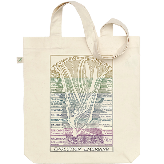 Evolution Emerging Tote Bag