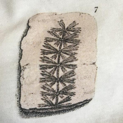 Eleven Fossils Babygro