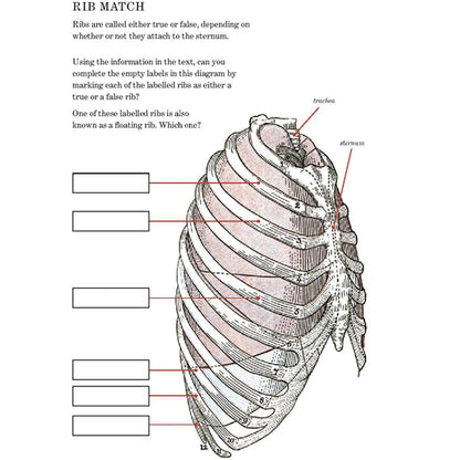 Gray's Anatomy Puzzle Book